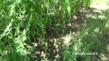 Jess Royan XXX: Experiență sexuală exhib cu băieți heterosexuali curioși