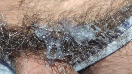 Stink HairyMale: White Socks and Underwear