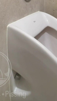 Caught the Guy Pissing in the Next Urinal