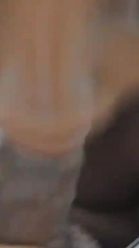Öyle! Yeni üvey erkek kardeşim büyük siyah yarak yaramaz boğazıma sığmıyor ağzım acıtıyor ıslak derine emiyor - mastermeat1