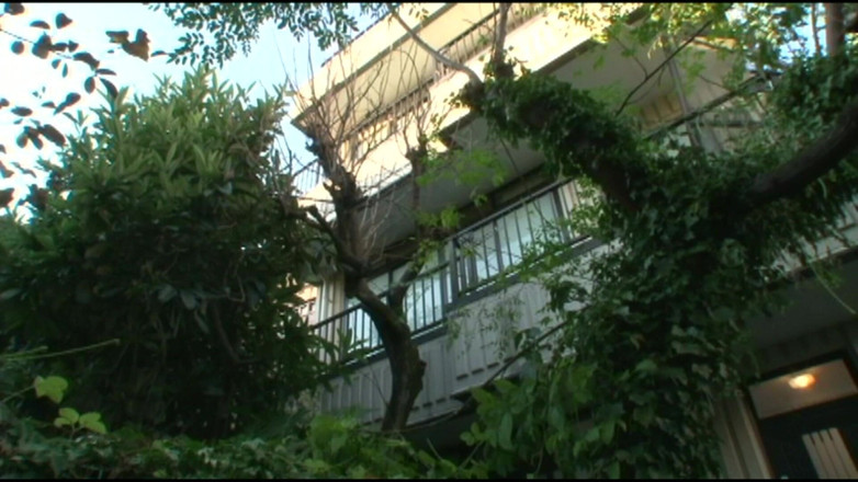 Raptor Inc: 바람난 미시 의붓여동생: 사랑하는 배다른 아들 Hitomi Ohashi를 빼앗겼어