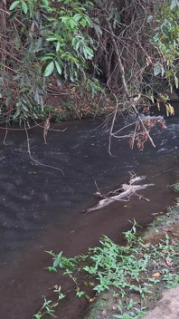 Orang asing ditangkap berkongkek di air terjun.