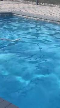 I Ass at the Pool