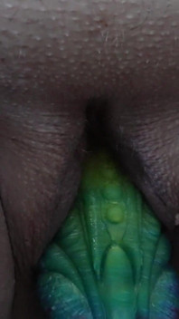 Kesinambungan tanggapan kecil, dengan dildo naga saya yang berwarna-warni.