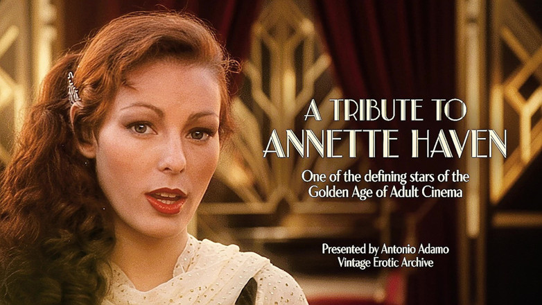 Vintage Erotic Archive: A Tribute to Annette Haven 03