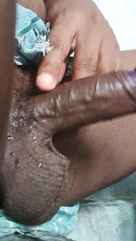Colour Penis