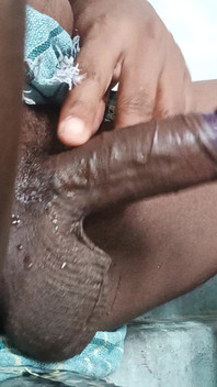 Colour Penis