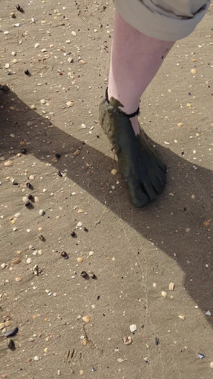 Footfetish: Kurzer Test Im Watt Am Strand Von Horumersiel