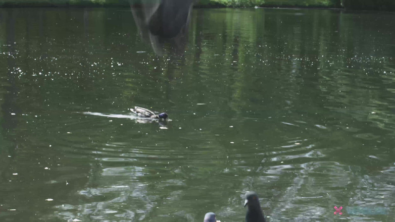 X-Sensual: Idealny kochanek