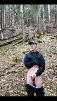 In the Forest
