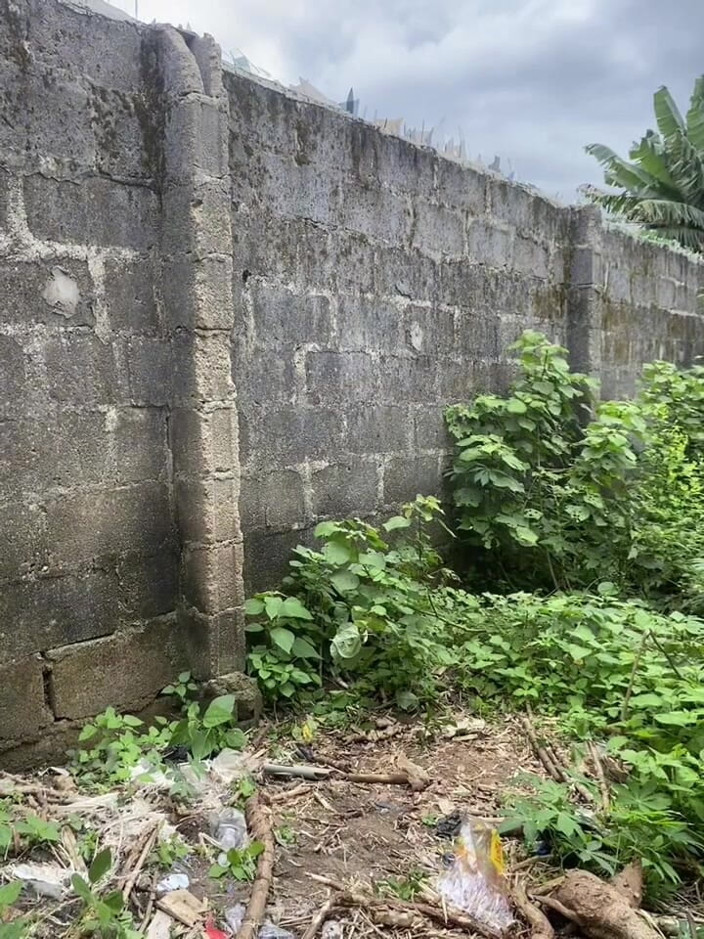 Thelittle_brown: Brown with a Farmer in the Bush Fucking