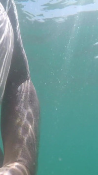 La masturbación en el mar