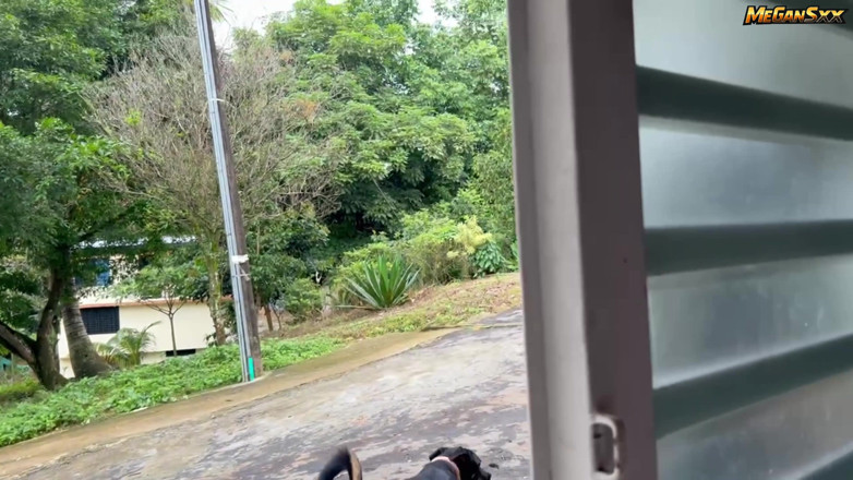 MeGanSxx: So arbeite ich mit dem Dog walker