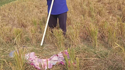 MHM: Selepas Hari Panjang Di Padang - Percintaan Kampung Sebenar 4K"