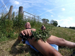 Andy: パート3 ウォーク38