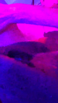 Addy Haze hat spielzeit mit ihrem fickpartner alex - spaß hinter dem finger