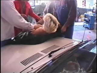 Genuine XXX: Rubia puta follada duro mientras hermanastra asustada mira en el...