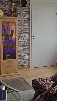 Sıkıcı Ev Işleri