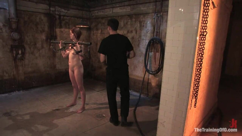 The Training of O by Kink: Lilla katt的训练，第三天