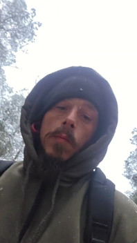 Cruising in the Snowy Woods