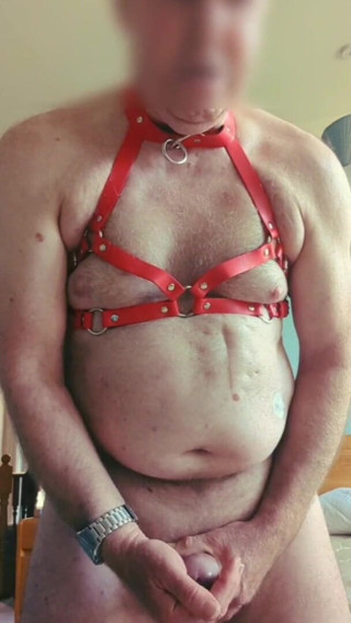 Bellhead: Reverse motion more bedroom fun