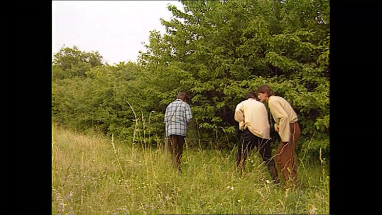 MMV TV - our best full movie: Ošklivá děvka prosí o drsný trest za kozy