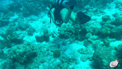 Mistress Pink Pearl: Bonaire में अकेले समय