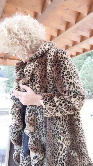 Josefine: Leopard 2