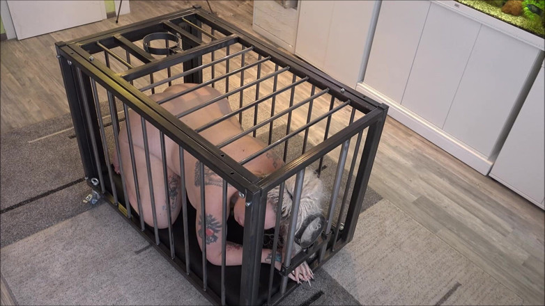 Sex and BDSM Slaves by her Master: 내 쾌락을 위해 이용당하는 성노예