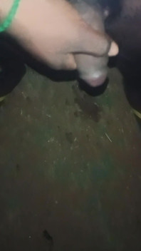 Akka Thambi Videos
