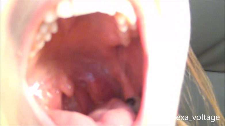 Alexa-Voltage: Исследуй рот Alexa