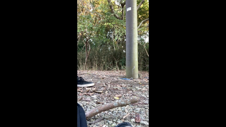 megu2002: Pelatihan diri No19 EksposUr Rumah Dari Taman