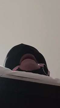 Związana, z zasłoniętymi oczami i ballgagged milf zostaje zerżnięta w usta, cipkę i tyłek
