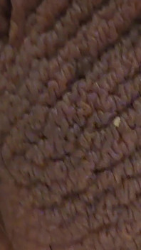 Closeup Desi Dick