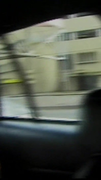 The Taxi Nymphomaniac
