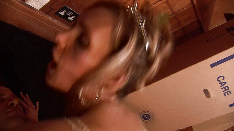 Fuck Fairies: 送货员已经来照顾包裹