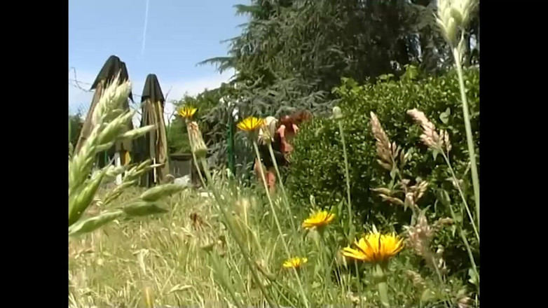 NASTY AMATEUR - Pornstar for a day: लड़कियों के खाने वाले