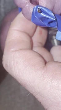 Candle Wax Peehole Insert