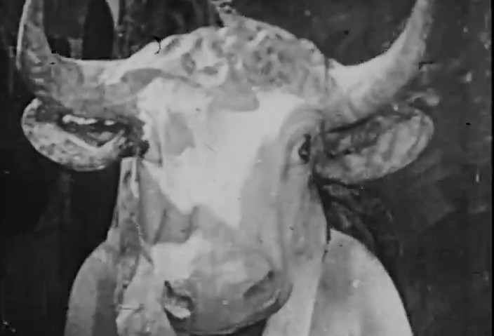 Vintage Erotic Archive: ผู้หญิงในภาพพอร์ตเทรต - ฟื้นฟูเป็น 4K