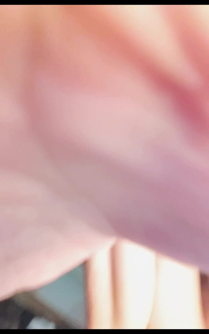 Orlando flores paradise: Bay Zebra ile ilk kez