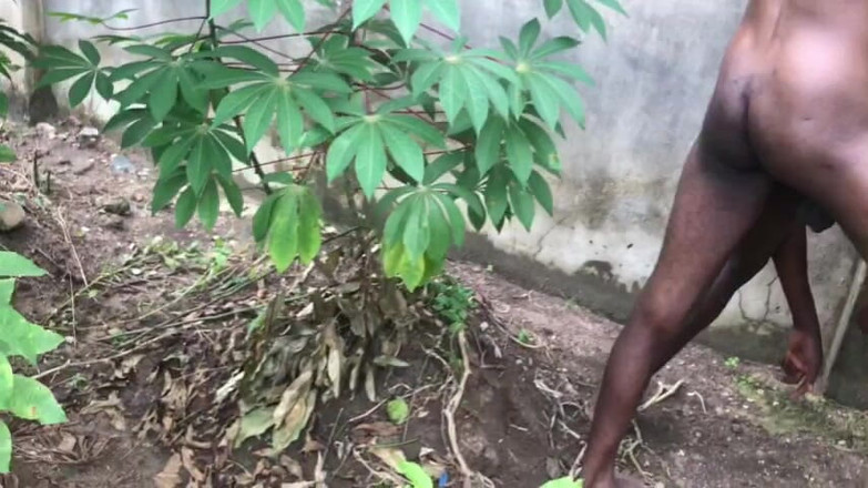 Sexydaddy: Làm tình ngoài trời bên trong trang trại sắn