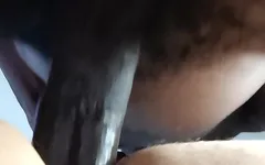 我们非常喜欢它，而你的热辣屁股让我疯狂 2