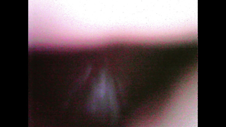 Lunaenma: 相机内射你的阴道 第二部分