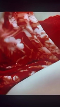 Lala Saree Orgasam