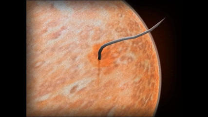 Velvixian3Futanari: Tvrdé šukání v žaláři (Futa Shemale)