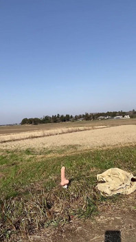 La n. 145 A è cresciuta dalla strada.