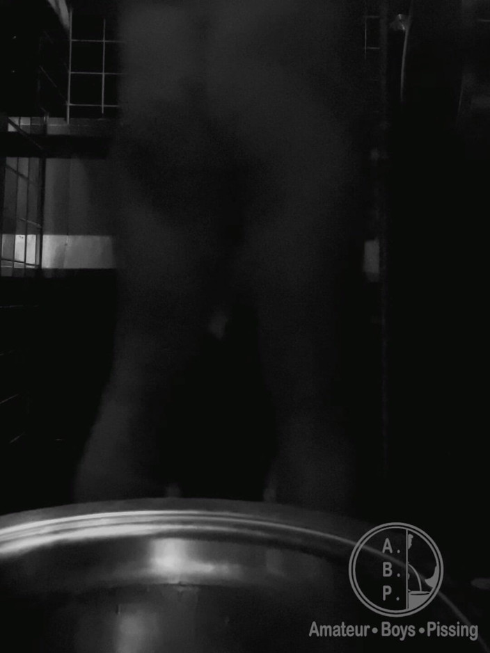 AmateurBoysPissing: Setkání na veřejných toaletách # 2