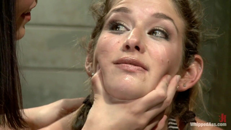 Whipped Ass by Kink: Van boven naar beneden