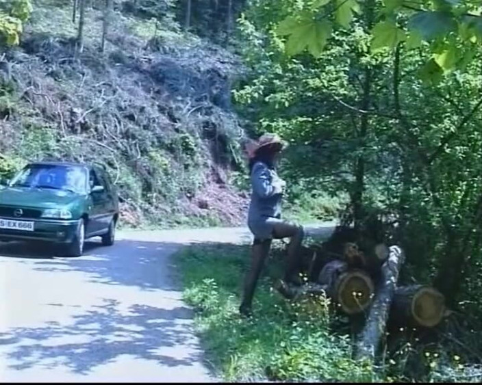 GERMAN PORN CLASSICS: Pension Almrausch Part 1
