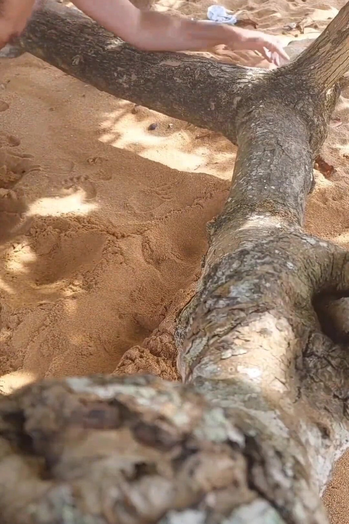 Ladysilvas: レディシルバがビーチで裸で日焼けし、痣を残し、熱いお尻を見せつけて美しい姿を見せる